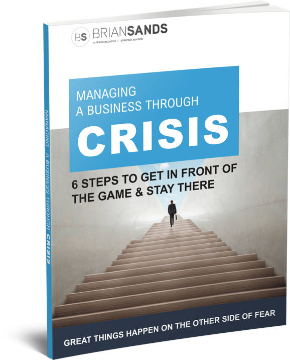 Ui Managing A Business Through Crisis Book@2x